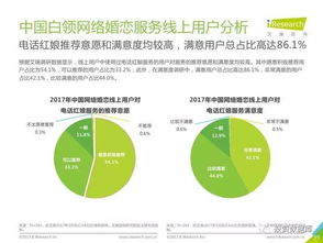 2017年中國網絡婚戀服務市場研究報告簡版