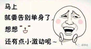 新余 單身狗 的春天來了 中央發話 將幫忙找到合適伴侶