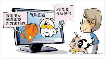 專業解讀 寵物養護與馴導專業