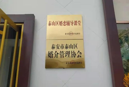 泰山區全面深化婚介機構改革